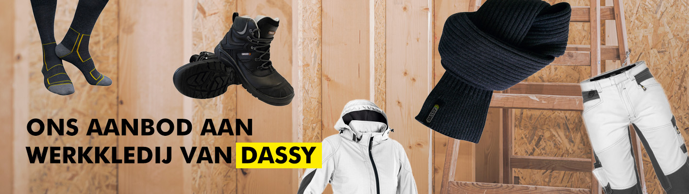 Dassy